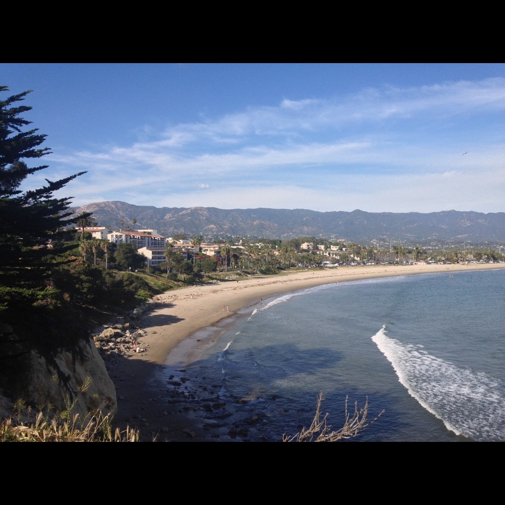 Meet your Posher, Shelly